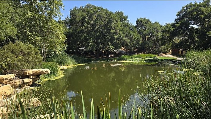 Screenshot 20250626 122851 Gallery