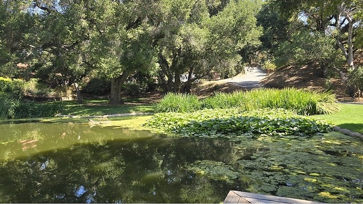 Screenshot 20250626 123022 Gallery