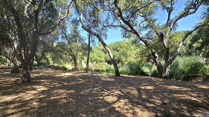 Screenshot 20250626 122947 Gallery