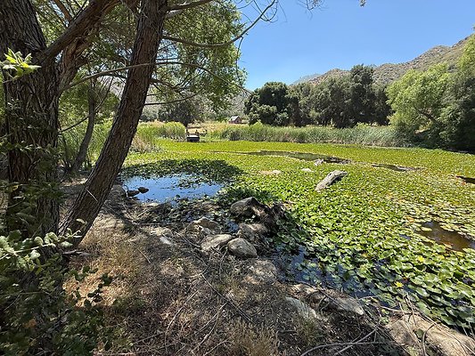sable lilly pad lake VAL