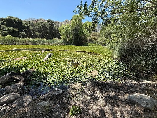 IMG 3712