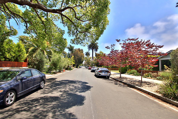 UNIVERSAL-CW045-VEN-85