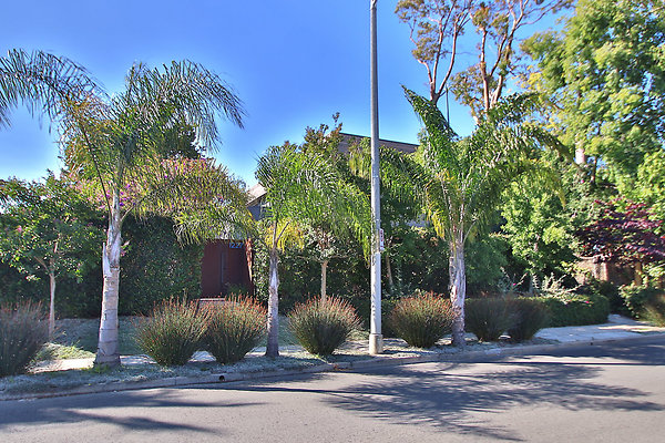 UNIVERSAL-CW048-VEN-8