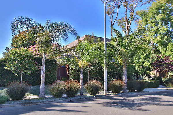 UNIVERSAL-CW048-VEN-35