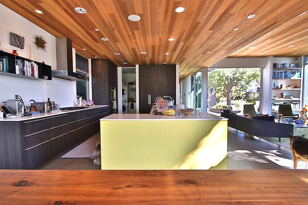 UNIVERSAL-CW048-VEN-42