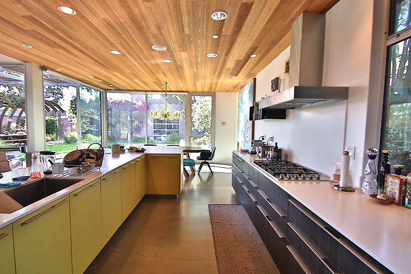 UNIVERSAL-CW048-VEN-45