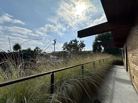 UNIVERSAL-CW163-VEN-91