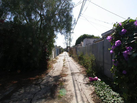 8318 alley 1