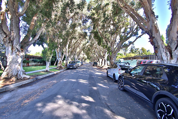 UNIVERSAL-CW083-MRV-11