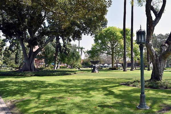 MSMU Doheny Campus Homes