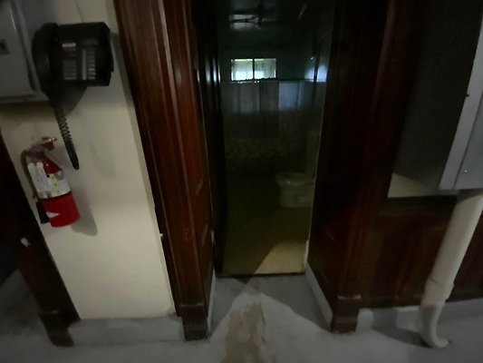IMG 4661