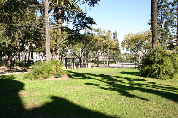 2aIMG 1832