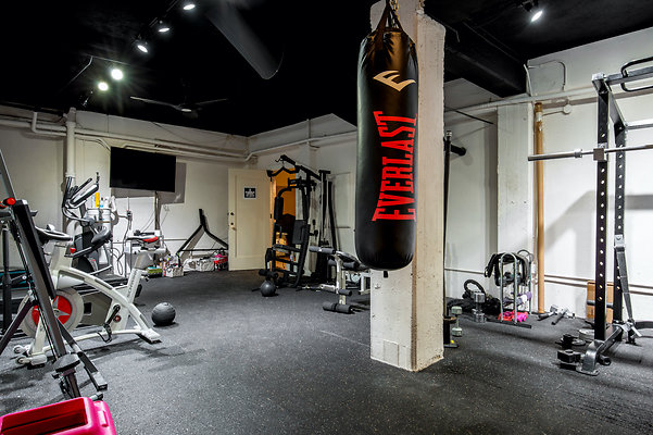 UNIVERSAL-D556-PS-121 UNIVERSAL-D556-PS-121