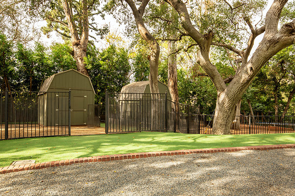 UNIVERSAL-D556-PS-161 UNIVERSAL-D556-PS-161