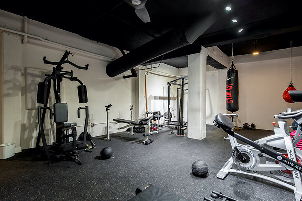 UNIVERSAL-D556-PS-120