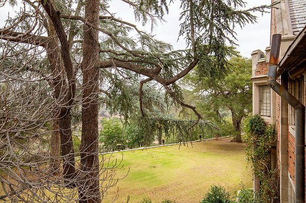 UNIVERSAL-D556-PS-103