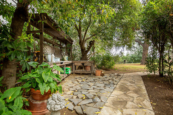 UNIVERSAL-D556-PS-137 UNIVERSAL-D556-PS-137