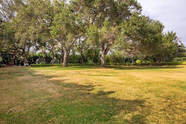 UNIVERSAL-D556-PS-160 UNIVERSAL-D556-PS-160