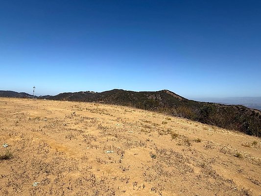 IMG 9696