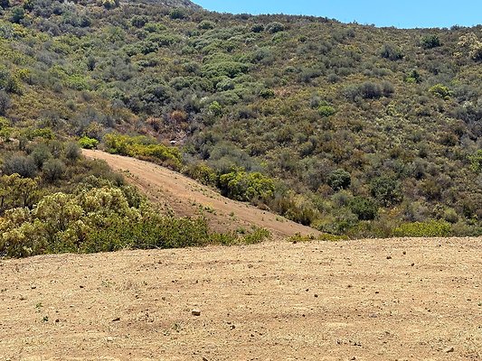 CANYON FILM RANCH