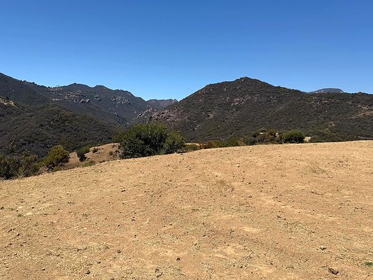 IMG 9561