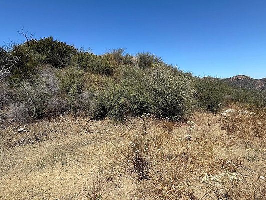IMG 9509
