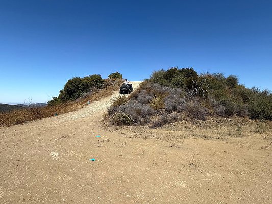 IMG 9500