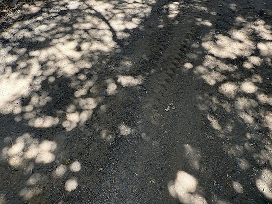 IMG 9535