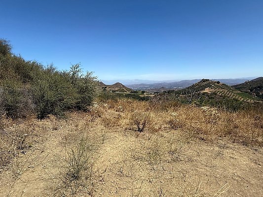 IMG 9504