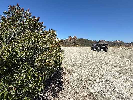 IMG 9499