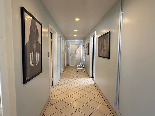 th IMG 2468