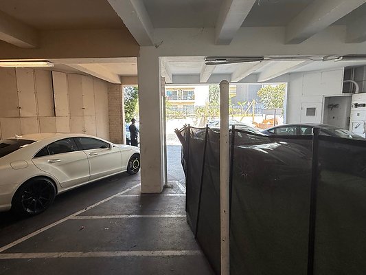 th IMG 2469