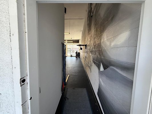th IMG 2617
