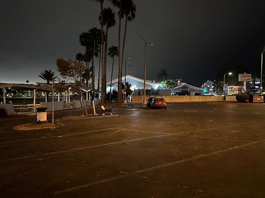 IMG 9304