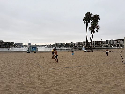 IMG 9246