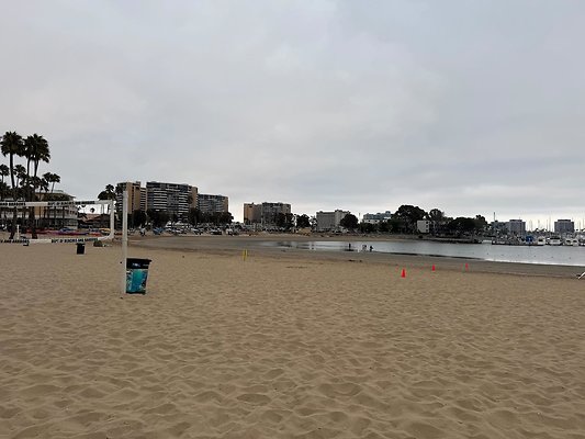 IMG 9208