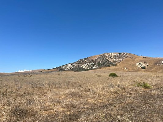 IMG 0843