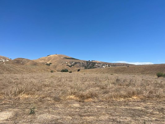 IMG 0838