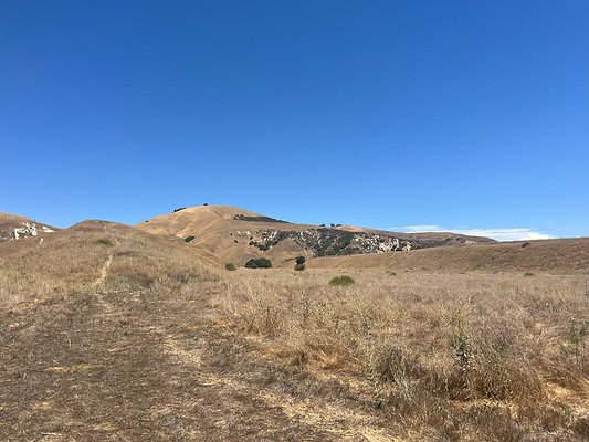 IMG 0842