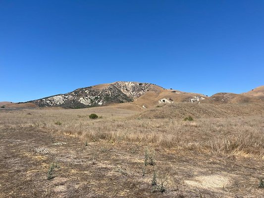 IMG 0837