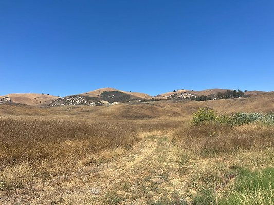 IMG 0824