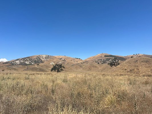 IMG 0829