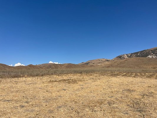 IMG 0850