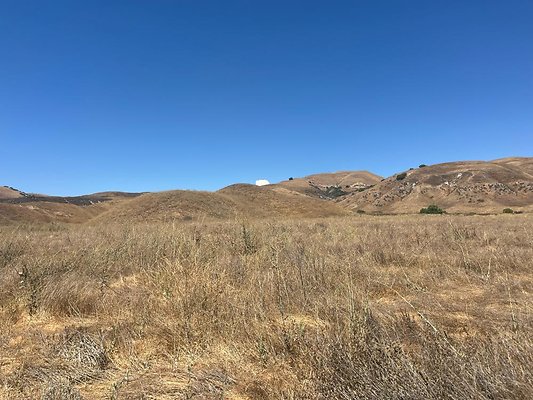 IMG 0857