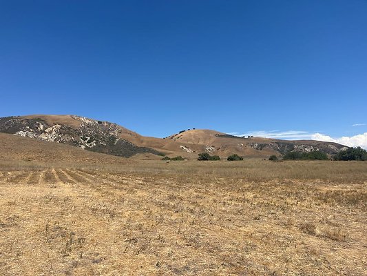 IMG 0849