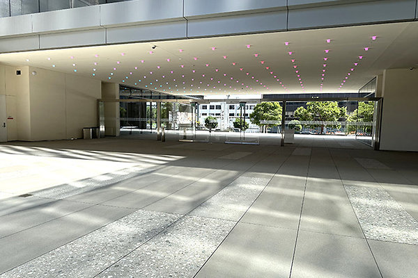 IMG 7697
