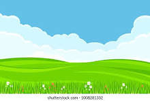 SKYDIVE FIELD