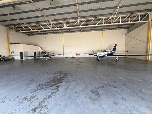 th IMG 2768