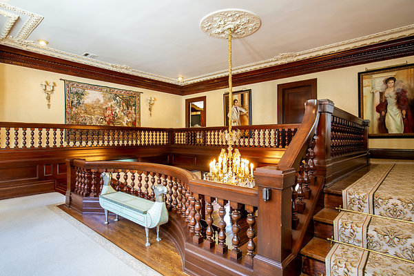 UNIVERSAL-D245-HP-50