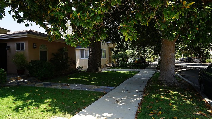 shr DSC01154 shr DSC01154